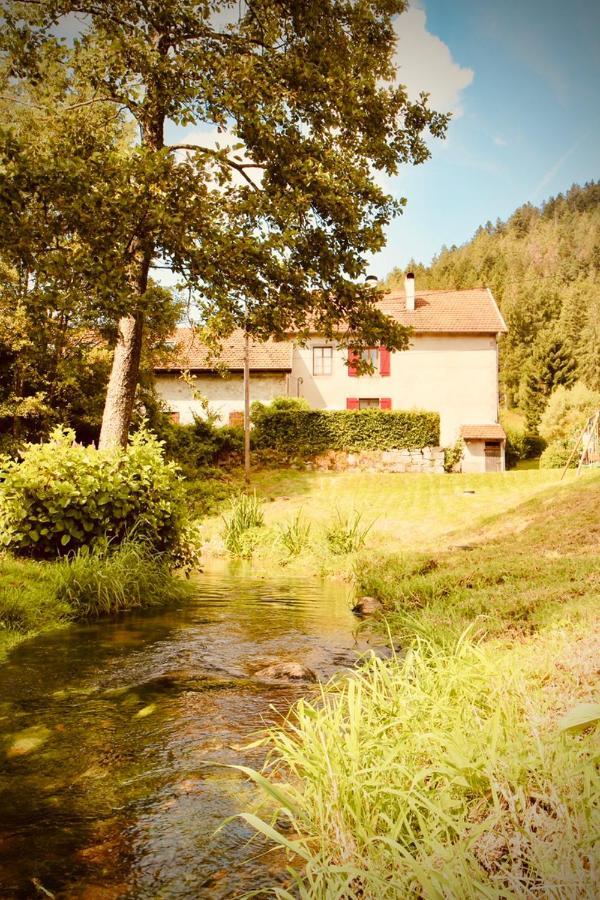 Gite De Charme Jusqu'A 14 Personnes, Proche Du Lac De Gérardmer Exterior foto
